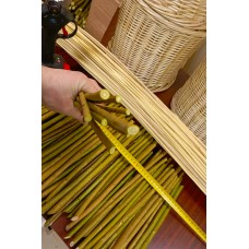 Черенки ивы «Каспийская»